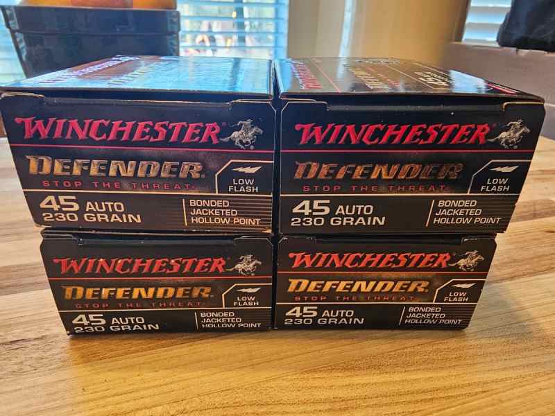 45 Auto - Winchester Defender