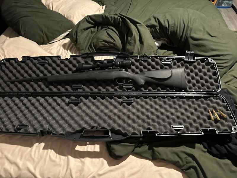 Mossberg Patriot 308