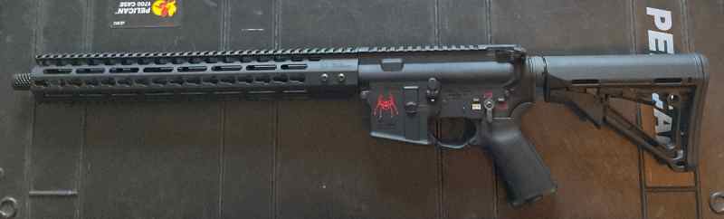 Brand new, never fired Spikes Tactical AR15 custom