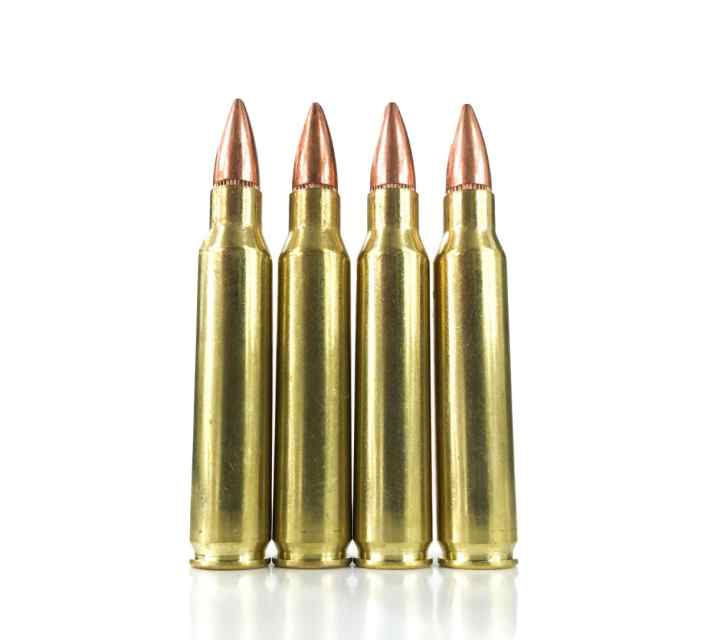 600 rounds 5.56 $240