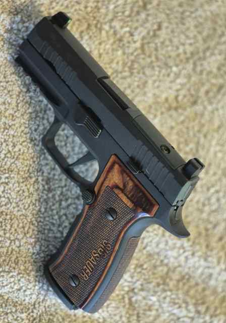 P320aL.jpg