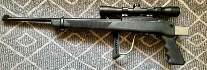 Ruger 10/22 with Folding Stock &amp; Ammo