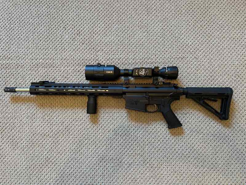 DPMS Panther Arms AR10 308 ATN day/night scope 