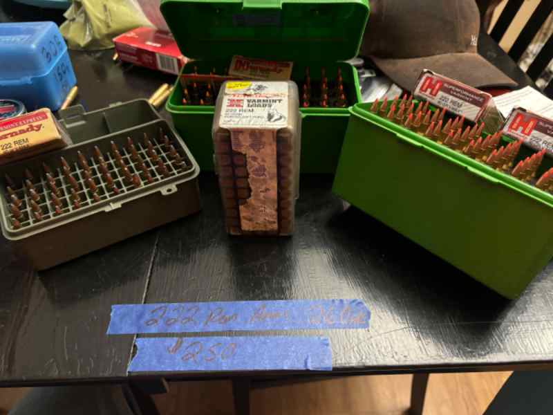 222 Remington ammo 