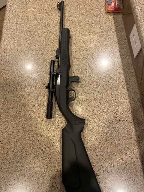 Rossi rs22/mossberg 702 with 4x