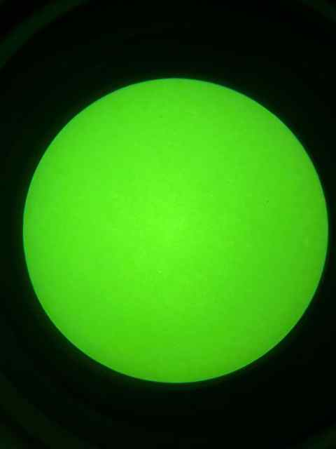 IMG_9712.jpeg
