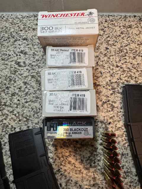 300 Blk Ammo / Pmags 