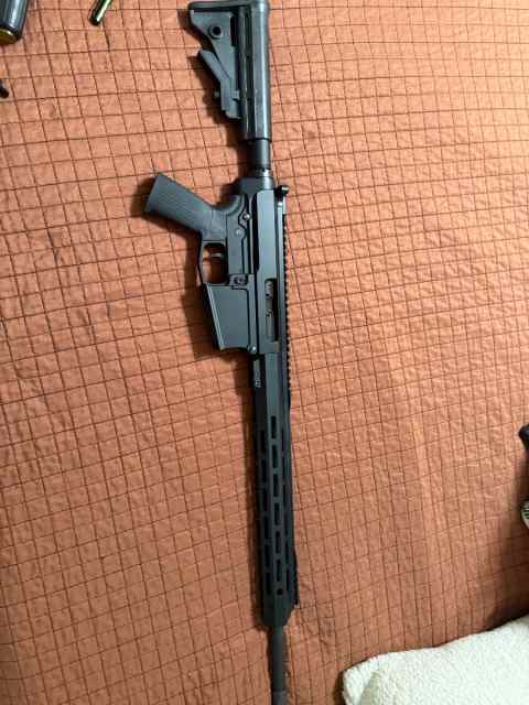 AR-10 308. Fs/ft