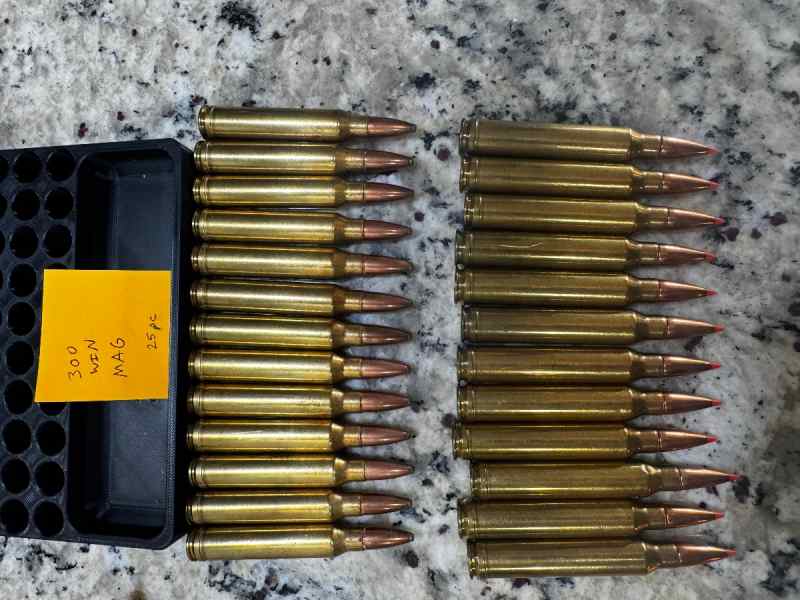 300 WIN MAG (loose 25 pieces - no box)