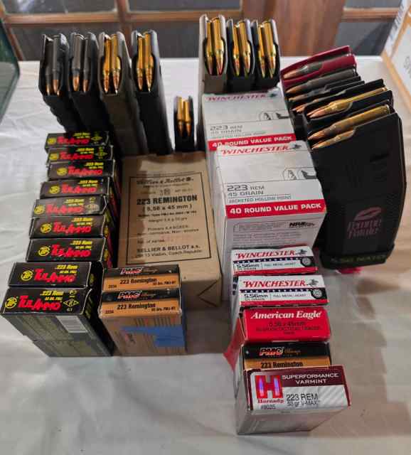 223/556 ammo/mags