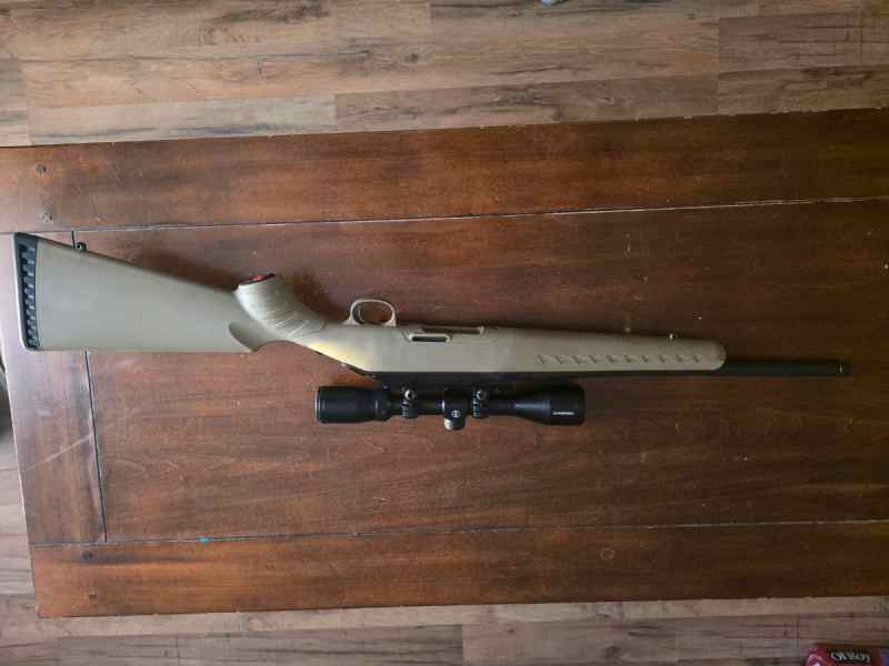 Ruger American gen1