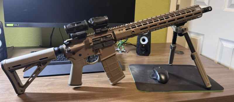 AR15 with Ammo and Tools