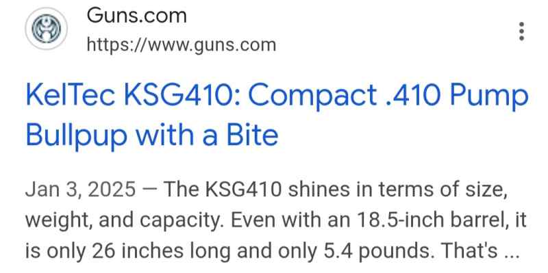 410 ksg shotgun 