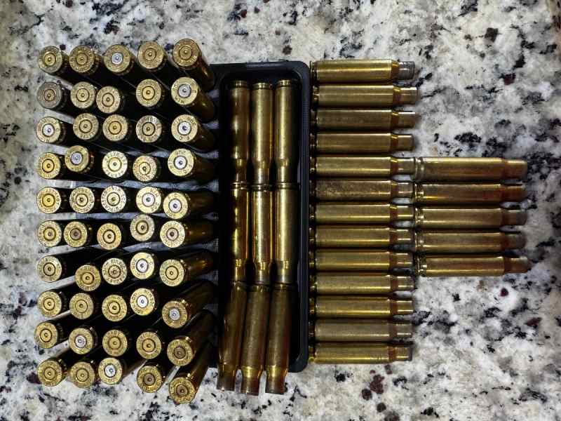 308 WIN brass empties (77 loose)
