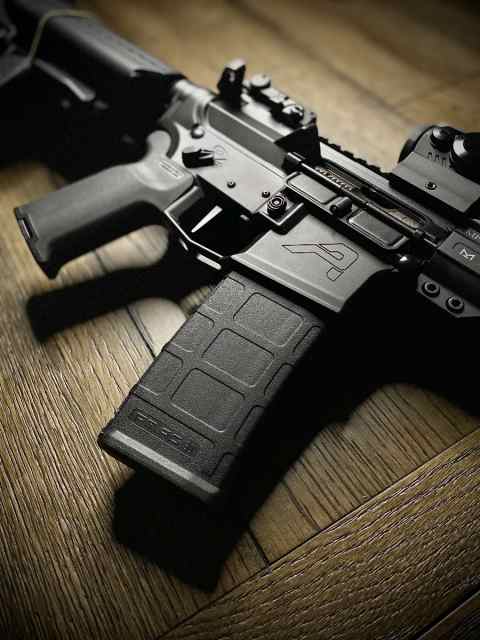 AR-15 Build Package, mags, optics, ammo