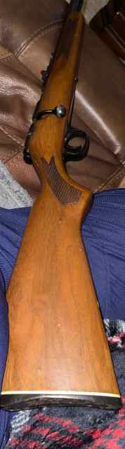IMG_1466.jpeg