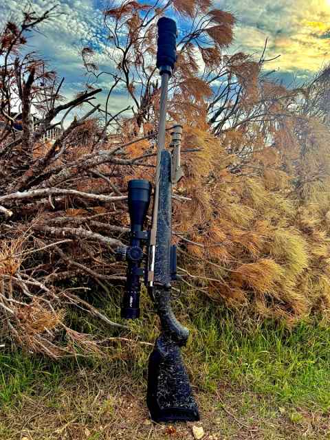 .308 &amp; .223 Wylde