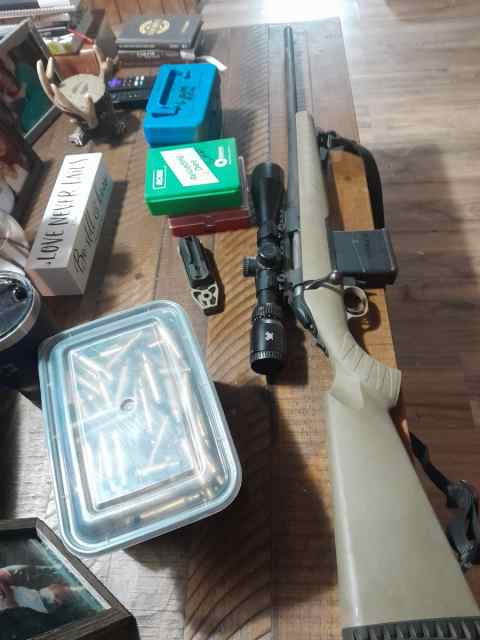 Ruger American predator 6mm Remington 