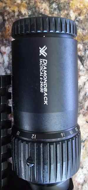 20250624_155455.jpg