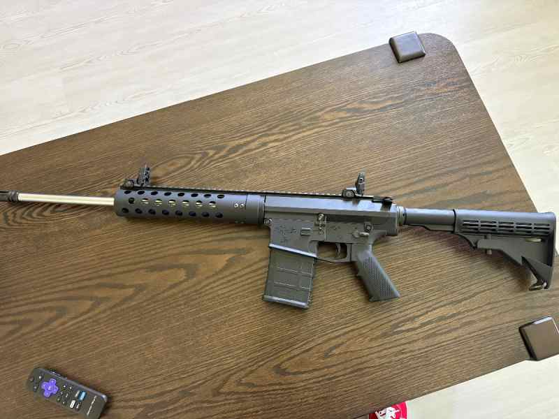 AR-10 308