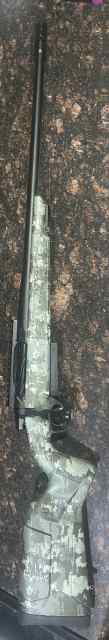 IMG_4820.jpeg