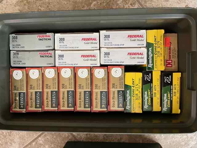 . 308 ammo