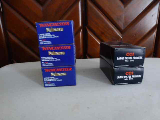 P1010419.JPG