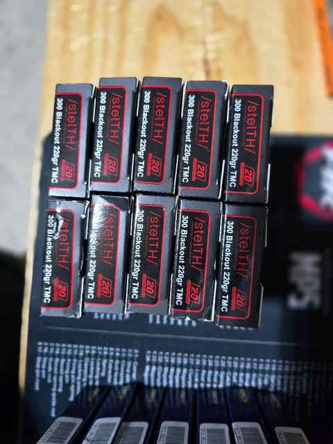 .300 Blk ammo