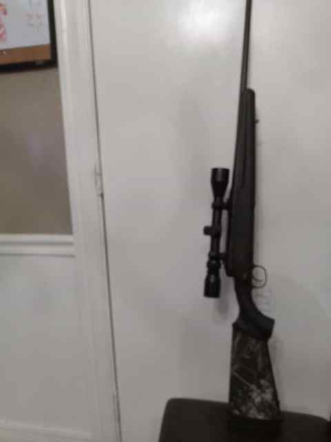 Savage Axis .308win