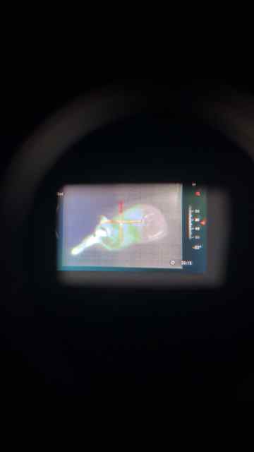 IMG_0263.jpeg