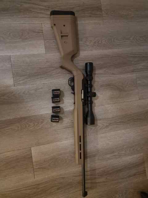 Ruger 10-22 with magpul stock