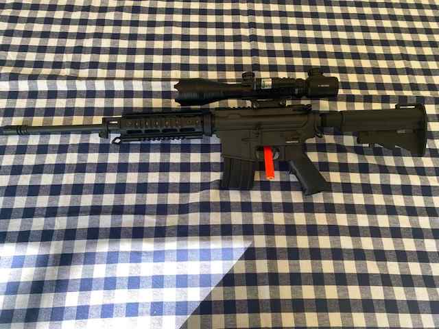 Bushmaster Carbon-15 in 5.56