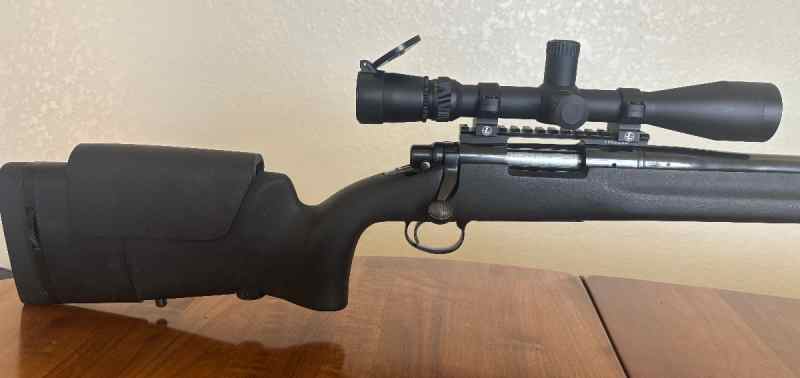 Remington 700P in .308