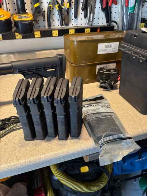 7 WW AR-10 PMags.jpeg