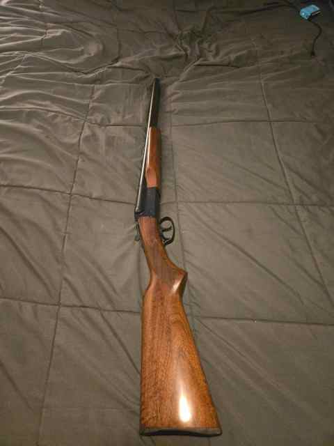 Stoeger coach gun