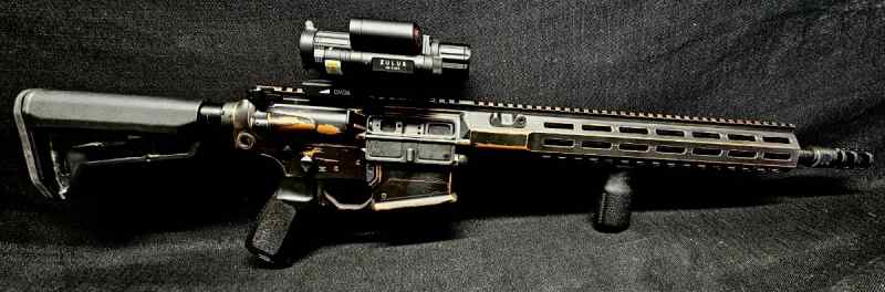 Sig saur 308