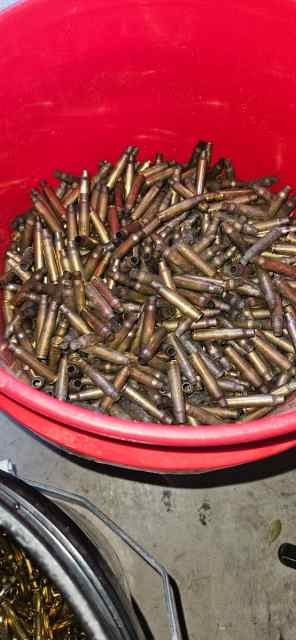 WTS 223/5.56 brass for reloading