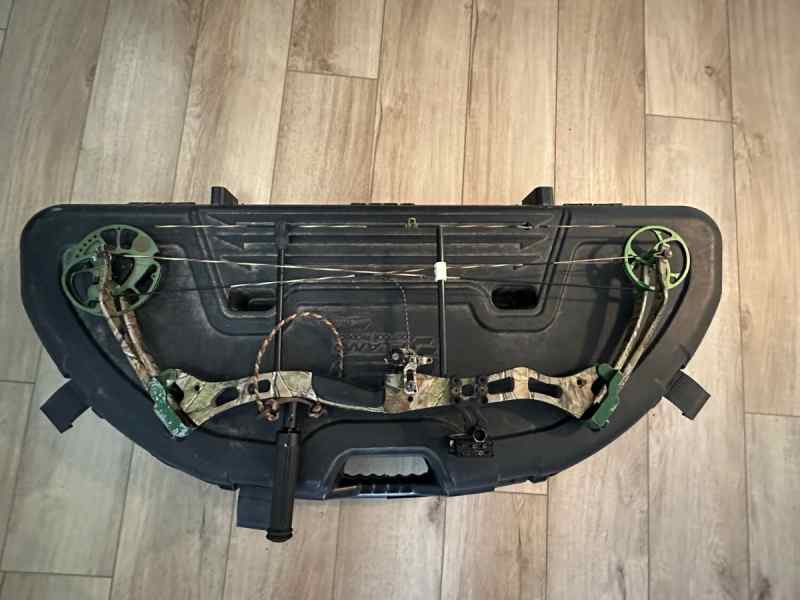 Bear Archery Lights Out