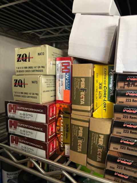 Savage 110 3006 Hornady SST Ammo.jpeg