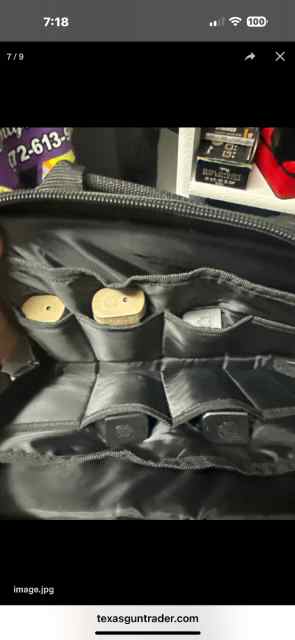 Springfield hell cat pro 