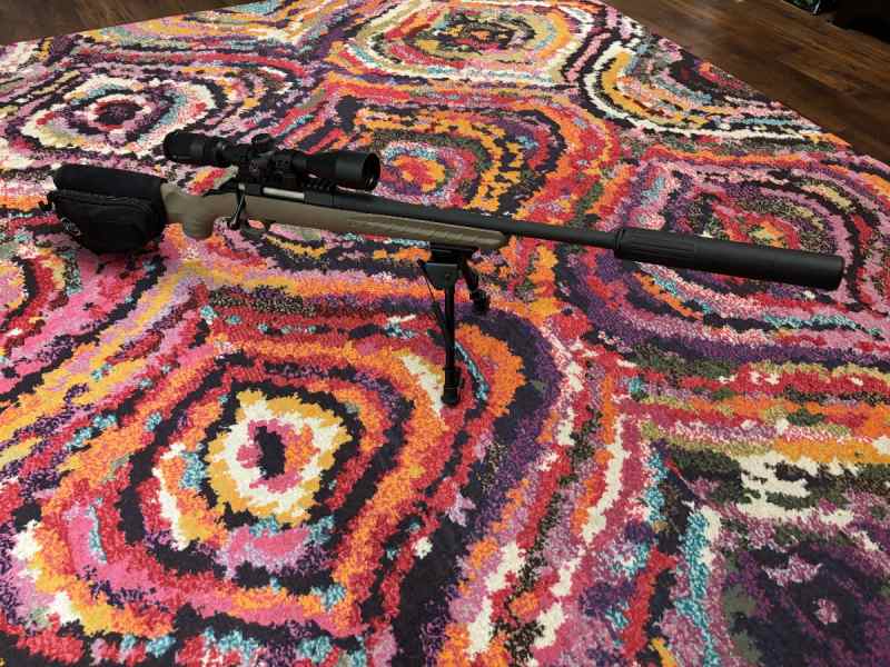 Ruger 300BLK