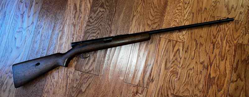 Winchester mod 74 semi-auto that shoots .22 Short