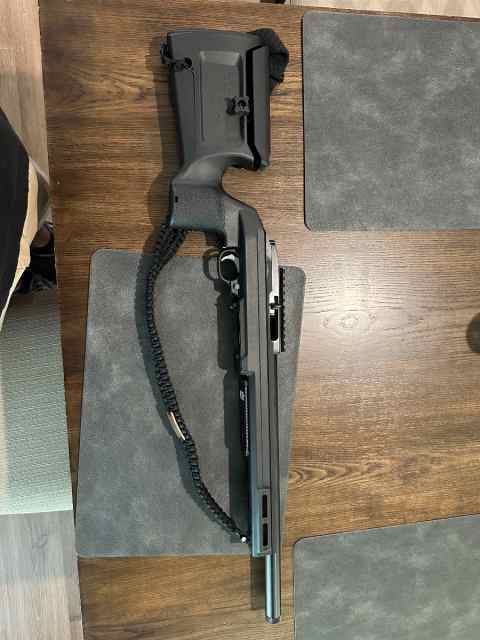 Ruger 10/22