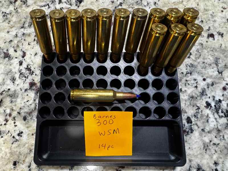 Barnes 300 WSM - 14 rounds loose