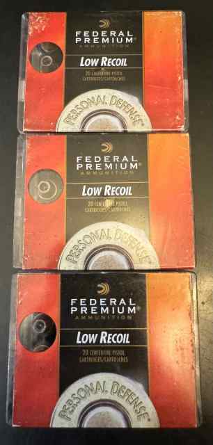 .380 Personal Defense Ammo