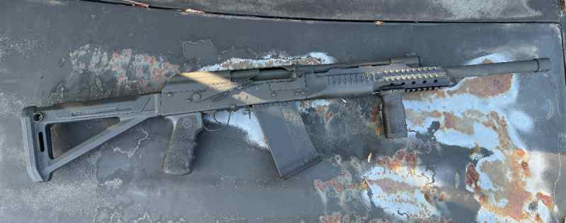 Lynx 12