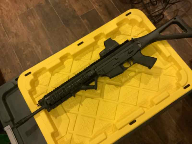 Sig Sauer 556 / EoTech