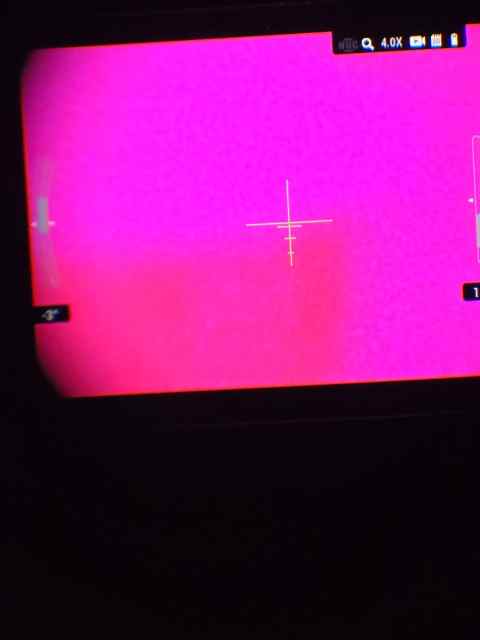 20250516_151647.jpg