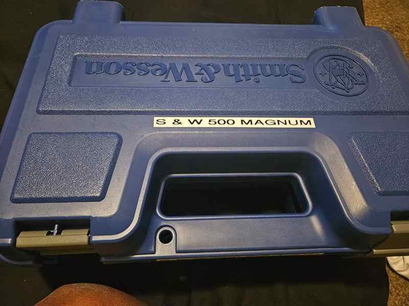 3963982.jpg