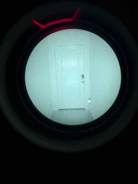 IMG_9637.jpeg